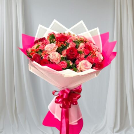 Red-Pink Roses